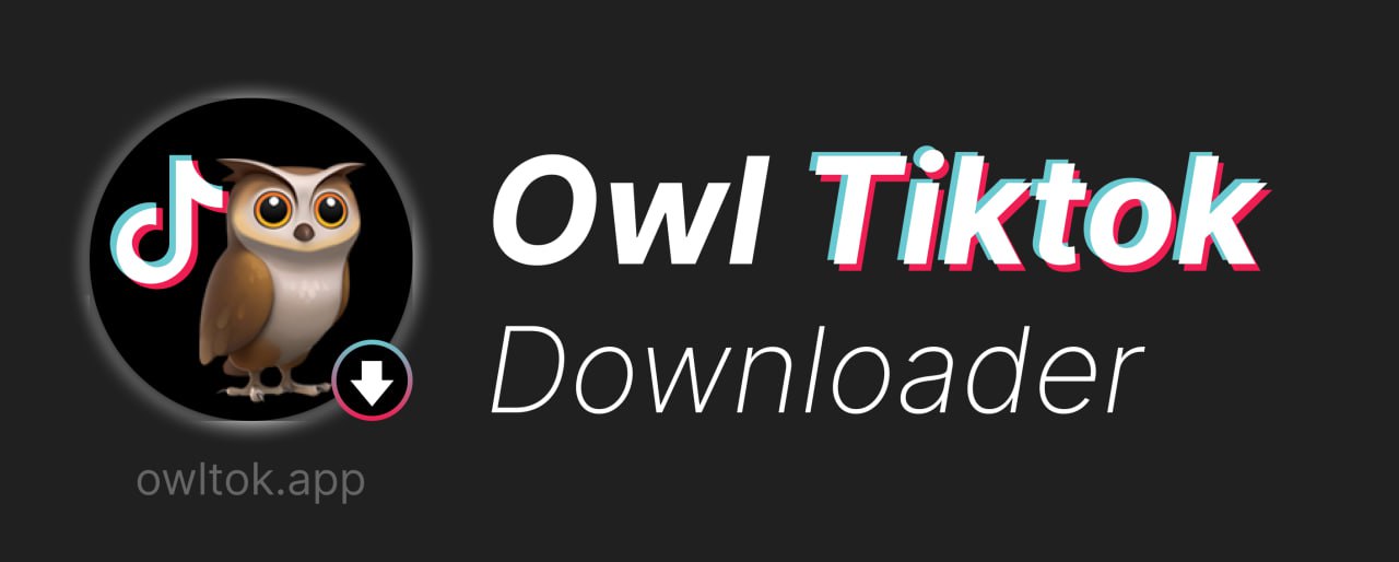 Owltok